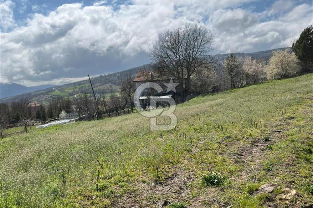 CB LEADER'DAN SATILIK ARSA