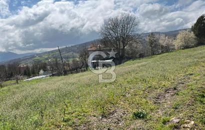 CB LEADER'DAN SATILIK ARSA