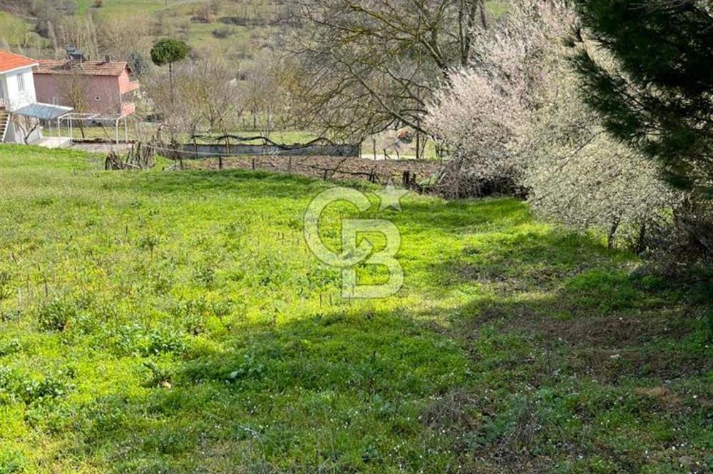 CB LEADER'DAN SATILIK ARSA