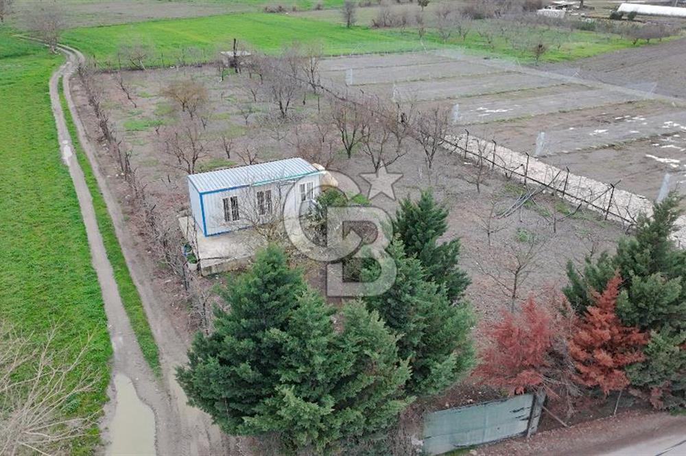 BURSA NİLÜFER KAYAPA İSTİKLALDE 1786 M2 KİRALIK HOBİ BAHÇESİ