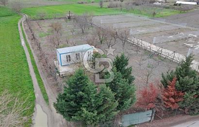 BURSA NİLÜFER KAYAPA İSTİKLALDE 1786 M2 KİRALIK HOBİ BAHÇESİ