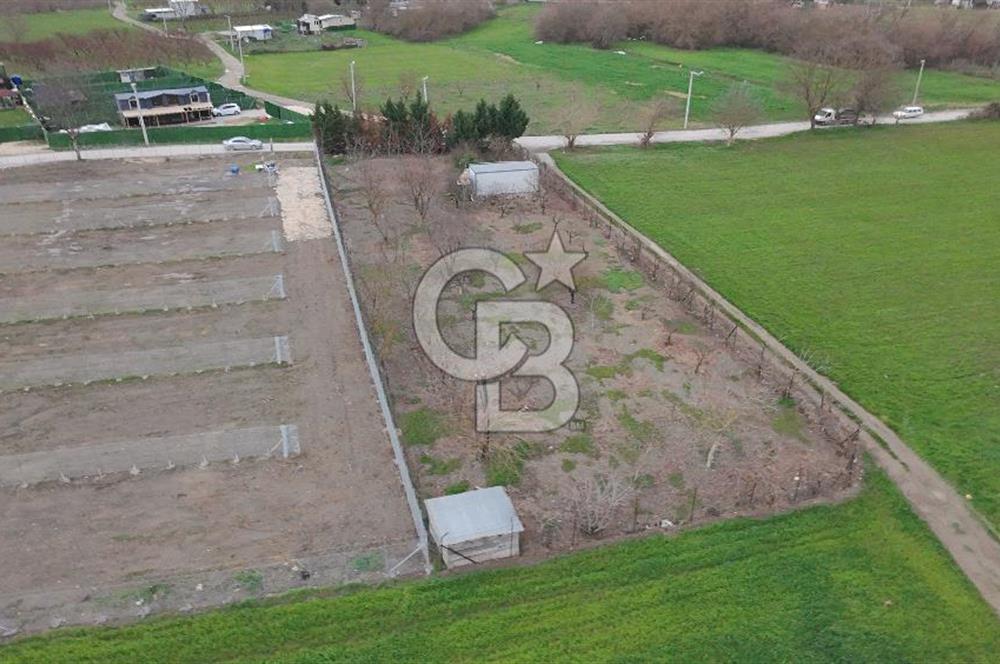 BURSA NİLÜFER KAYAPA İSTİKLALDE 1786 M2 KİRALIK HOBİ BAHÇESİ