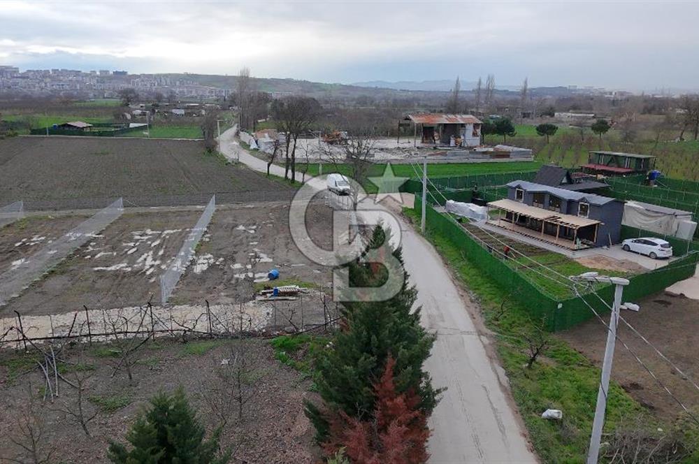 BURSA NİLÜFER KAYAPA İSTİKLALDE 1786 M2 KİRALIK HOBİ BAHÇESİ