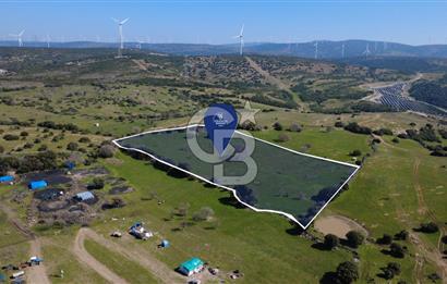 BERGAMA ÖRLEMİŞ'DE SATILIK 13.072 M2 TARLA