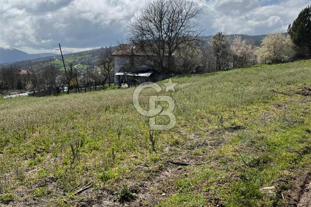 CB LEADER'DAN SATILIK ARSA