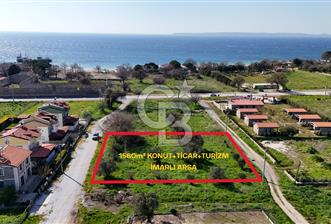 ÇANAKKALE GEYİKLİ ODUNLUK İSKELESİ TURİZM İMARLI SATILIK ARSA - 3 - 342460