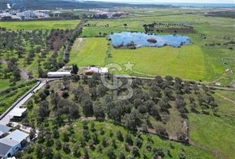 Küçükköyde Müstakil Tapulu Ana Yola Yakın Satılık Zeytinlik - 1 - 342481