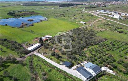 Küçükköyde Müstakil Tapulu Ana Yola Yakın Satılık Zeytinlik