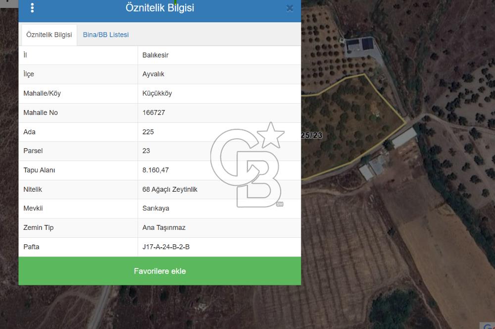 Küçükköyde Müstakil Tapulu Ana Yola Yakın Satılık Zeytinlik