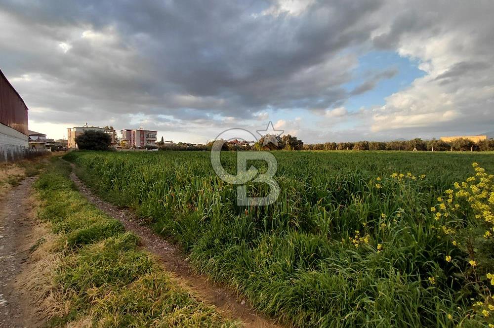 Menderes Oğlananası Merkez Tek Tapu Ulaşımı Kolay Yerleşim İçinde 