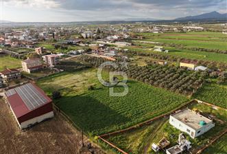 Menderes Oğlananası Merkez Tek Tapu Ulaşımı Kolay Yerleşim İçinde  - 1 - 342470