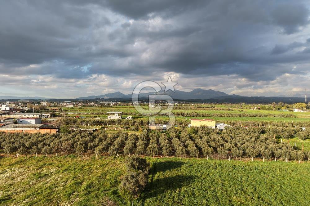 Menderes Oğlananası Merkez Tek Tapu Ulaşımı Kolay Yerleşim İçinde 
