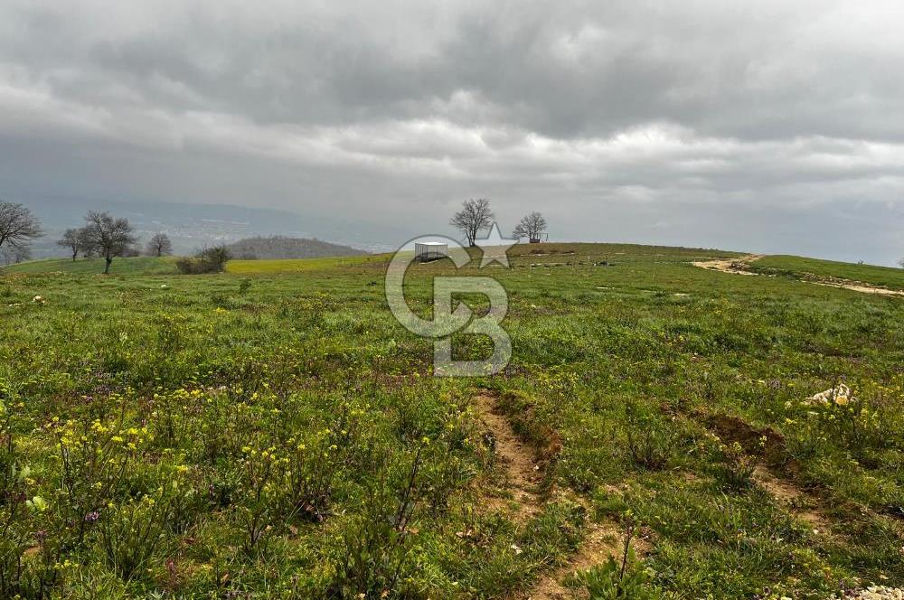 CB CLASS YENİ ŞEHİR BEYPINAR'DA 250 M2 SATILIK TARLA 