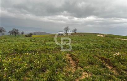 CB CLASS YENİ ŞEHİR BEYPINAR'DA 250 M2 SATILIK TARLA 