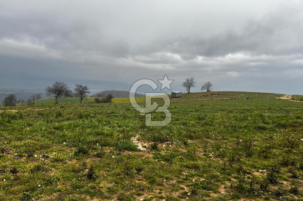 CB CLASS YENİ ŞEHİR BEYPINAR'DA 250 M2 SATILIK TARLA 