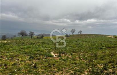 CB CLASS YENİ ŞEHİR BEYPINAR'DA 250 M2 SATILIK TARLA 