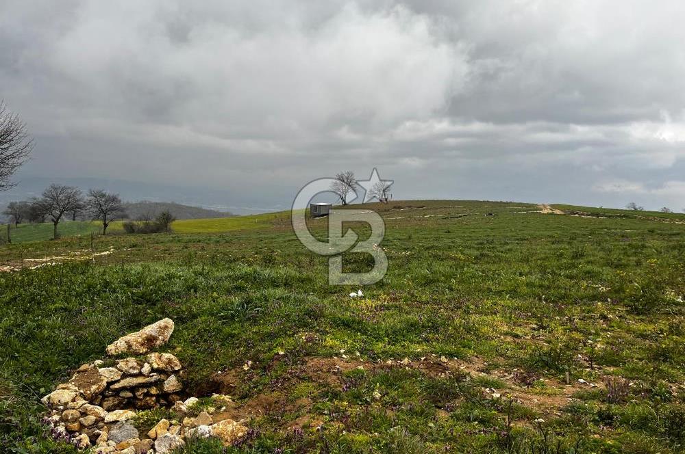 CB CLASS YENİ ŞEHİR BEYPINAR'DA 250 M2 SATILIK TARLA 