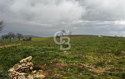 CB CLASS YENİ ŞEHİR BEYPINAR'DA 250 M2 SATILIK TARLA 