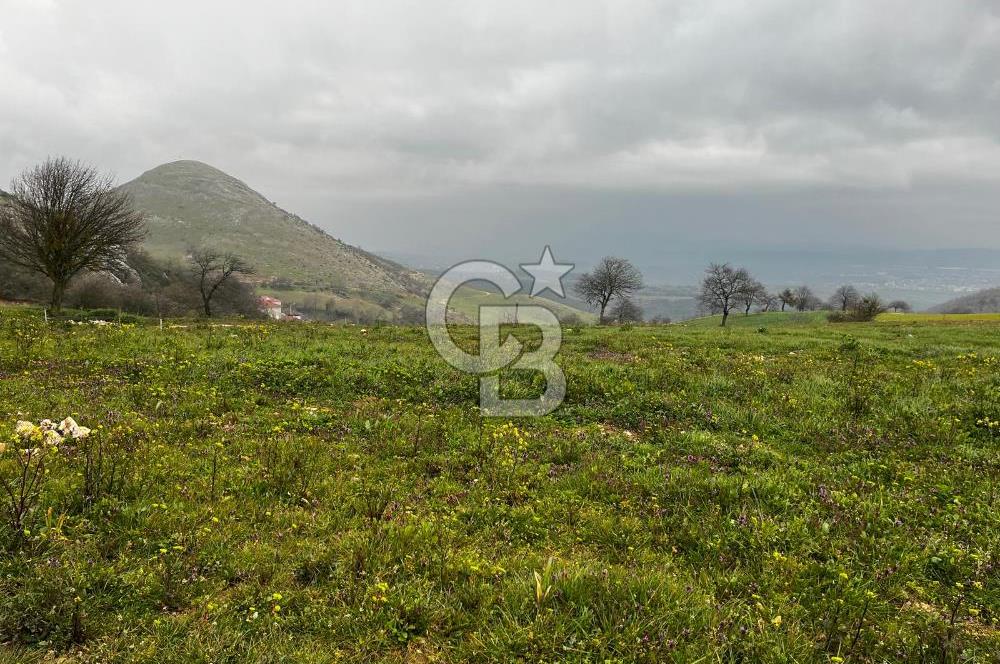 CB CLASS YENİ ŞEHİR BEYPINAR'DA 250 M2 SATILIK TARLA 