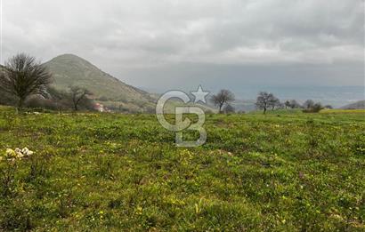 CB CLASS YENİ ŞEHİR BEYPINAR'DA 250 M2 SATILIK TARLA 