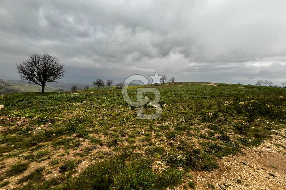 CB CLASS YENİ ŞEHİR BEYPINAR'DA 250 M2 SATILIK TARLA 