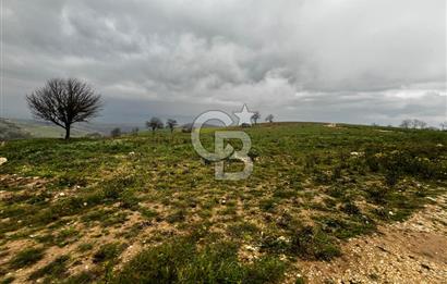 CB CLASS YENİ ŞEHİR BEYPINAR'DA 250 M2 SATILIK TARLA 