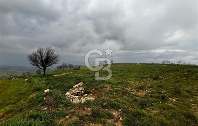 CB CLASS YENİ ŞEHİR BEYPINAR'DA 250 M2 SATILIK TARLA 