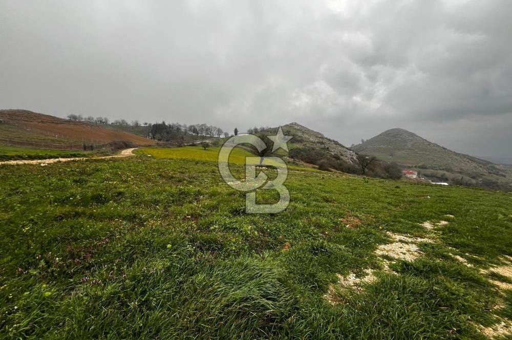 CB CLASS YENİ ŞEHİR BEYPINAR'DA 250 M2 SATILIK TARLA 