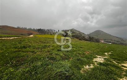 CB CLASS YENİ ŞEHİR BEYPINAR'DA 250 M2 SATILIK TARLA 