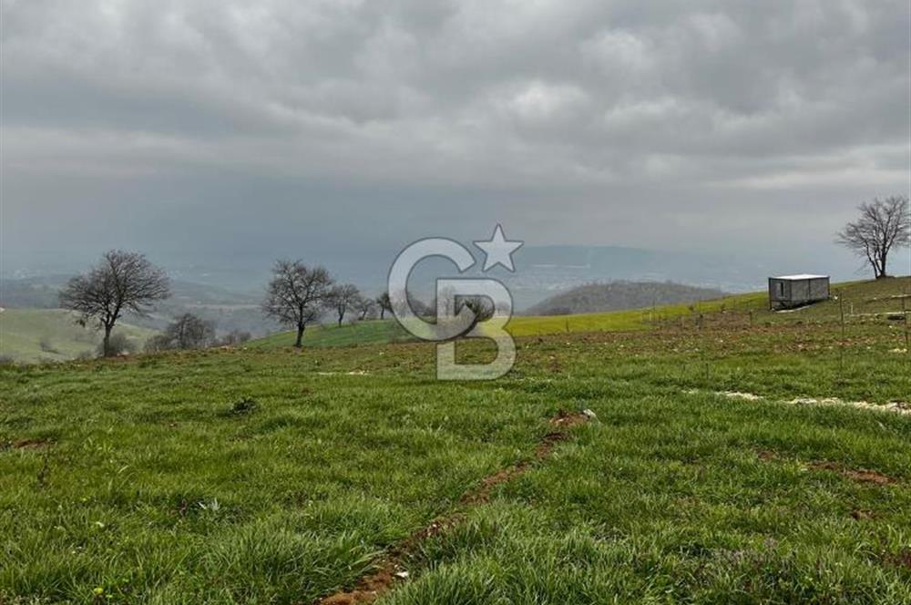 CB CLASS YENİ ŞEHİR BEYPINAR'DA 250 M2 SATILIK TARLA 