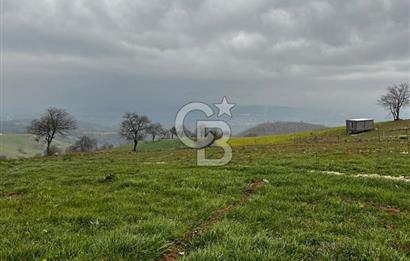 CB CLASS YENİ ŞEHİR BEYPINAR'DA 250 M2 SATILIK TARLA 