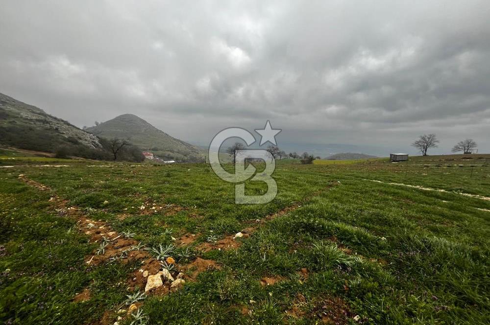 CB CLASS YENİ ŞEHİR BEYPINAR'DA 250 M2 SATILIK TARLA 