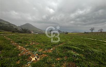 CB CLASS YENİ ŞEHİR BEYPINAR'DA 250 M2 SATILIK TARLA 