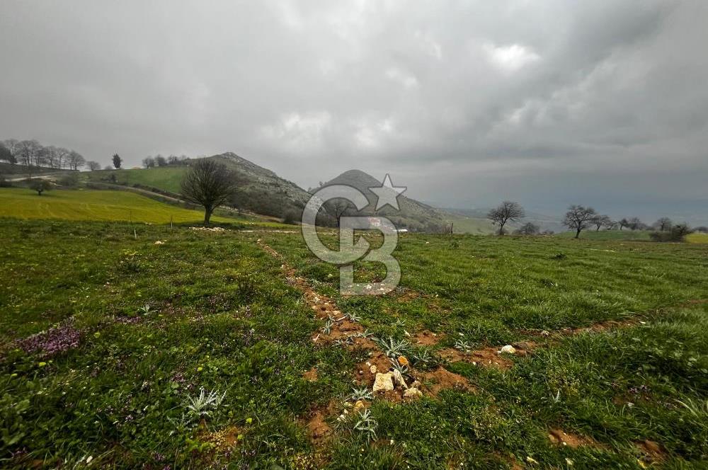 CB CLASS YENİ ŞEHİR BEYPINAR'DA 250 M2 SATILIK TARLA 