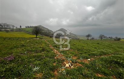 CB CLASS YENİ ŞEHİR BEYPINAR'DA 250 M2 SATILIK TARLA 