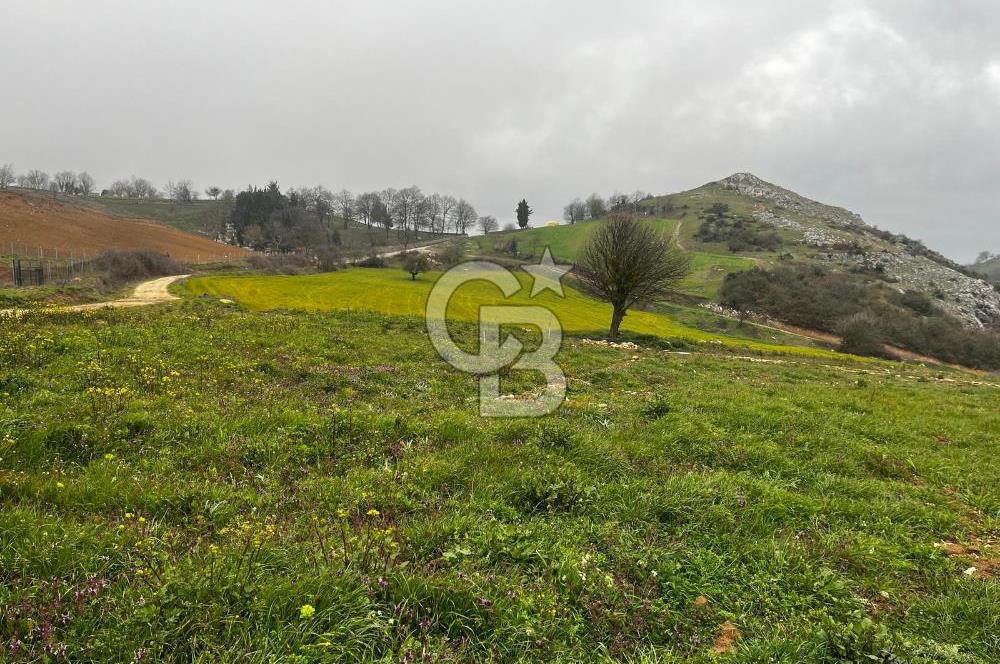 CB CLASS YENİ ŞEHİR BEYPINAR'DA 250 M2 SATILIK TARLA 