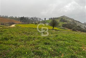 CB CLASS YENİ ŞEHİR BEYPINAR'DA 250 M2 SATILIK TARLA  - 2 - 342468