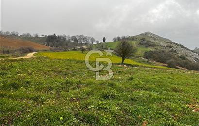 CB CLASS YENİ ŞEHİR BEYPINAR'DA 250 M2 SATILIK TARLA 