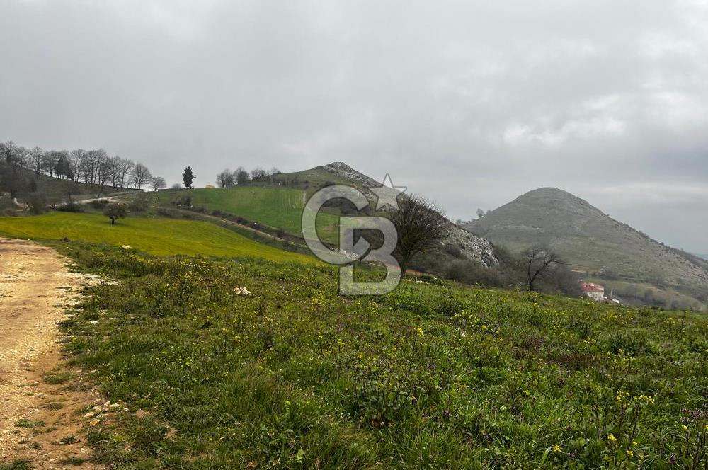 CB CLASS YENİ ŞEHİR BEYPINAR'DA 250 M2 SATILIK TARLA 