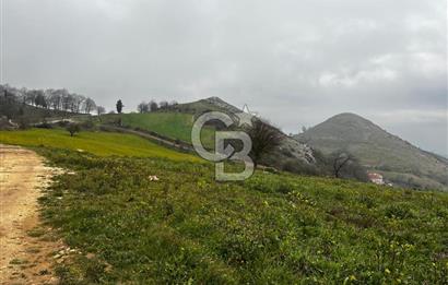 CB CLASS YENİ ŞEHİR BEYPINAR'DA 250 M2 SATILIK TARLA 