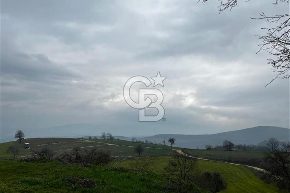 CB CLASS YENİ ŞEHİR BEYPINAR'DA 250 M2 SATILIK TARLA 