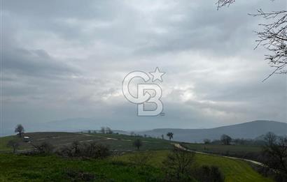 CB CLASS YENİ ŞEHİR BEYPINAR'DA 250 M2 SATILIK TARLA 