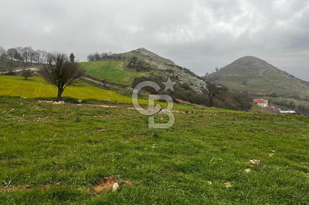 CB CLASS YENİ ŞEHİR BEYPINAR'DA 250 M2 SATILIK TARLA 