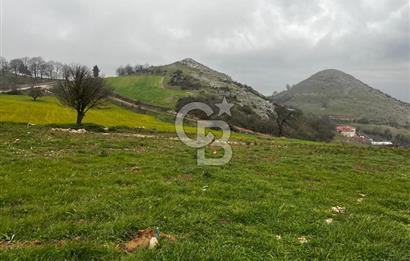 CB CLASS YENİ ŞEHİR BEYPINAR'DA 250 M2 SATILIK TARLA 