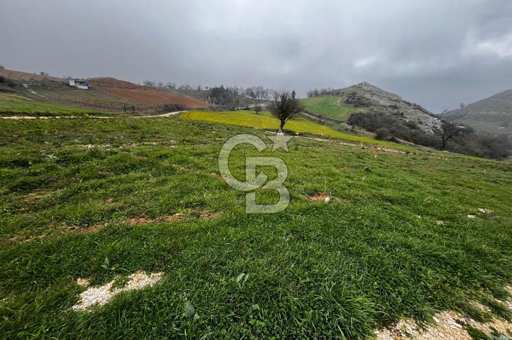 CB CLASS YENİ ŞEHİR BEYPINAR'DA 250 M2 SATILIK TARLA 