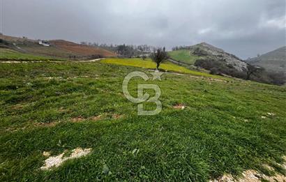 CB CLASS YENİ ŞEHİR BEYPINAR'DA 250 M2 SATILIK TARLA 