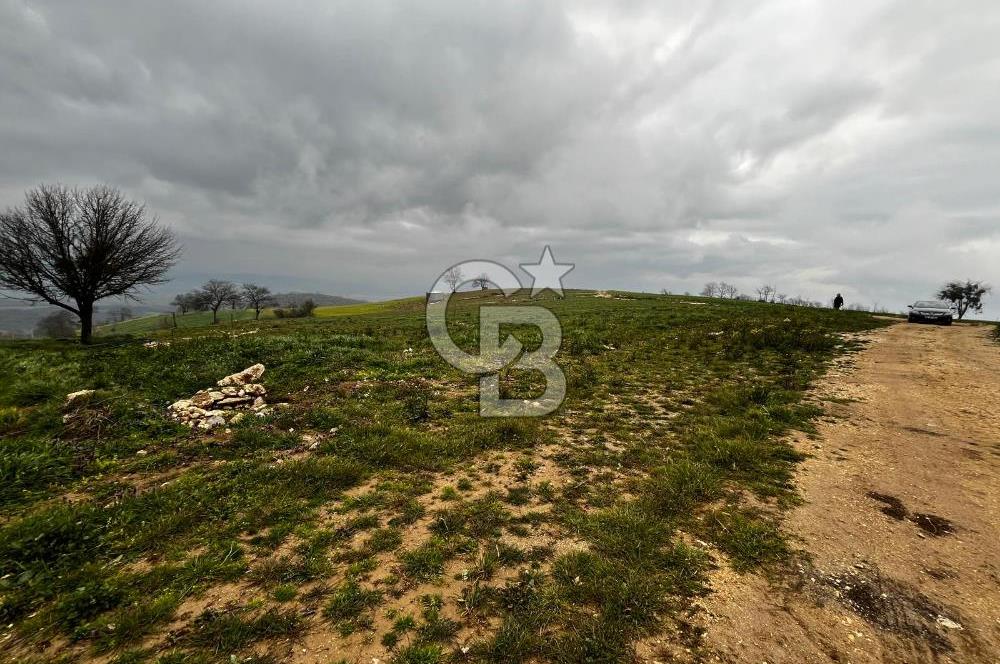 CB CLASS YENİ ŞEHİR BEYPINAR'DA 250 M2 SATILIK TARLA 