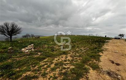 CB CLASS YENİ ŞEHİR BEYPINAR'DA 250 M2 SATILIK TARLA 