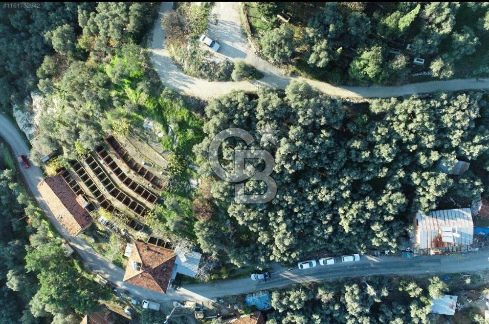 İzmir Bayındır Yola Cepheli Fırsat İmarlı Satılık Arsa