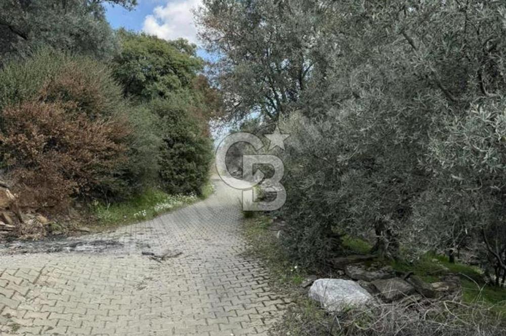 İzmir Bayındır Yola Cepheli Fırsat İmarlı Satılık Arsa